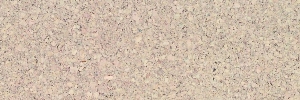 02-mono-neu-creme