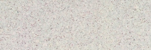 03-mono-neu-weiss