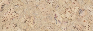 11-rombo-neu-creme