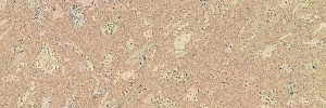 27-ventura-creme