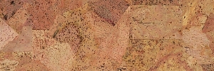 29-pazzo