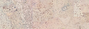 30-pazzo-creme