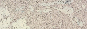40-gallura-creme