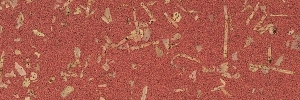 54-fain-rot