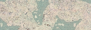 66-marea-blau-creme