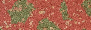 67-pazzo-rot-gruen